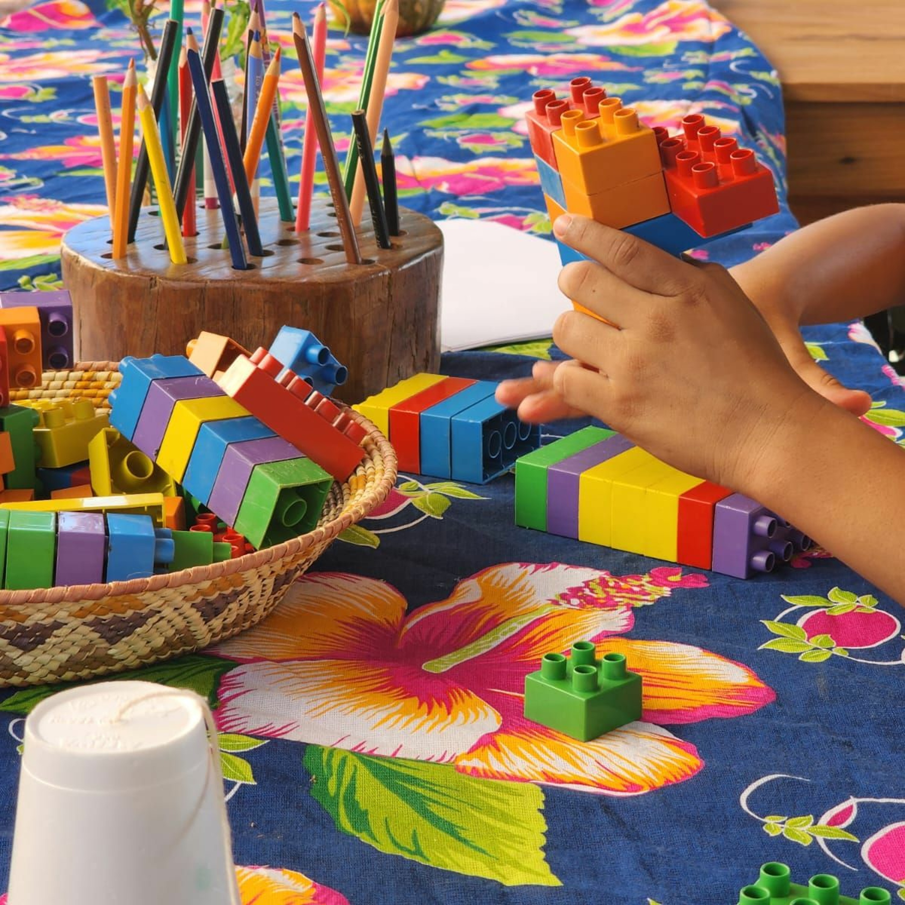 Projeto Saúde e Alegria