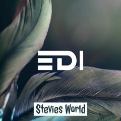 EDI - Stevies World