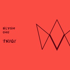 BLVSH Collective 040 • triqi