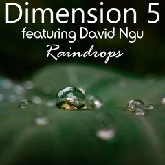 Dimension 5 ft David Ngu - Raindrops
