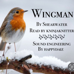19 wingman by shearwater