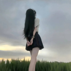 Xuân này con không về