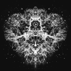 Tarek - None of this ever happened