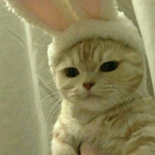 Забудь но запомни// Папин Олимпос