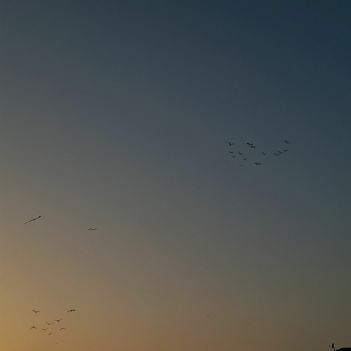 أذكار الصباح __ بصوت الشيخ هيثم الدخين