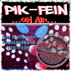 PIK-FEIN @ TECHNOKÜCHE | ukw 92.5 FM  RADIO-RHEINWELLE .de - WIESBADEN | 09.12.2023