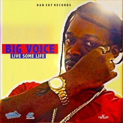 Big Voice - Live Some Life