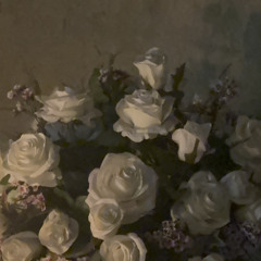 lycosia _ estratto performance