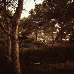 TIW - THE MIXTAPE VOL. 2