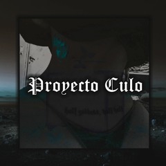 PROYECTO CULO (prod. LIA$)