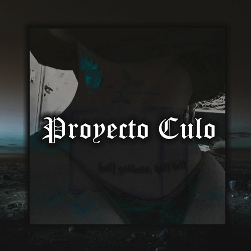 PROYECTO CULO (prod. LIA$)