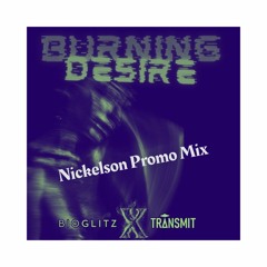 Nickelson Burning Desire Promo Mix