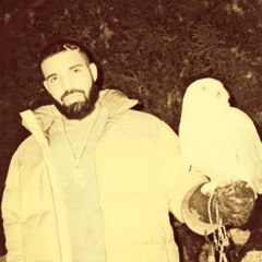 [FREE] Drake x Southside Type Beat 'BATMAN & ROBIN' | Trap / Rap Instrumental