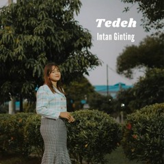 DJ Remix - Tedeh - Intan Ginting