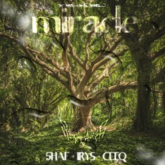 [5HAF + IRYS + CEEQ] - MIRACLE [++ KAI BOO]