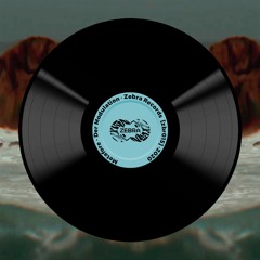 Metafore - Der Modulation • Zebra Rec. [ZBR015]