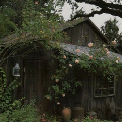 a_night_in_a_mossy_hut  cover Black Hill