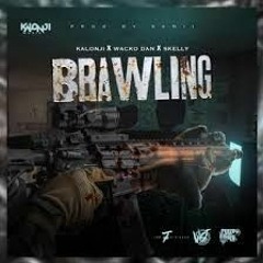 Kalonji x Wacko Dan x Skelly 12k - Brawling
