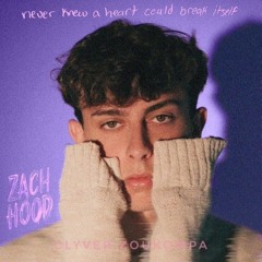 ZACH HOOD × CLYVER - NEVER KNEW A HEART COULD BREAK ITSELF ZOUKOMPA 2024 !