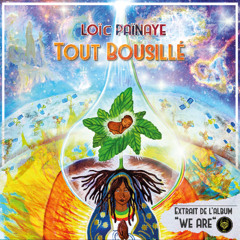 loic painaye - tout bousillé