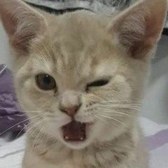 mitski - washing machine heart speed up