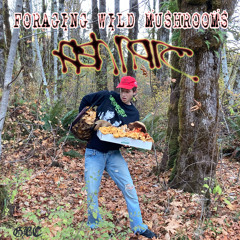 Paul Stamets (Interlude)