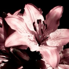 Run To You - Bryan Adams (Guitar riff only!)