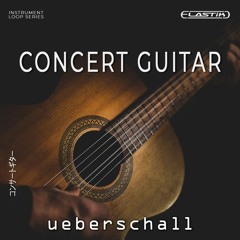 Ueberschall - Concert Guitar