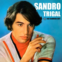 FREE DL:  Sandro - Trigal (Nat Barrera Edit)