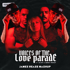 Voices Of The Love Parade (James Rease Mashup)