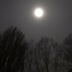 Crypts (2) (CLOUD/EMO)