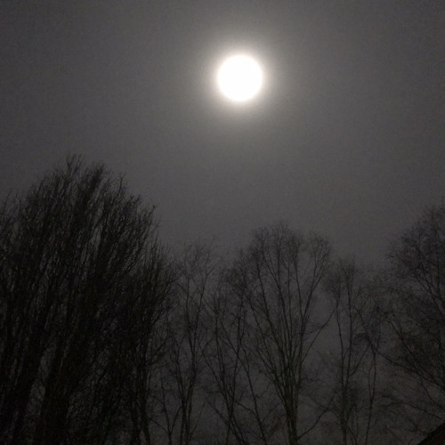 Crypts (2) (CLOUD/EMO)