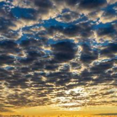 Stratus