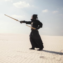 Zen Warrior