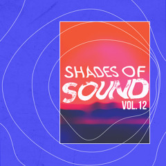 Joe Morris l Shades of Sound Vol. 12