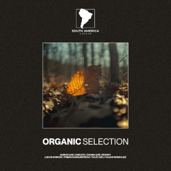 Tomas Harguintegui - Nowhere Plane [South America Avenue]