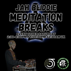 2 hr Jungle Mix: Jah Bliddie - Meditation Breaks on Jungletrain 3-29-25