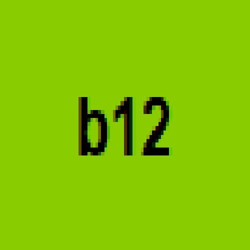 b2b12