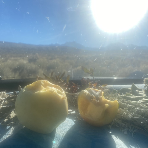 Stream episode Michelle, Tucker & The Holy Spirit! (Little Alkali Lake