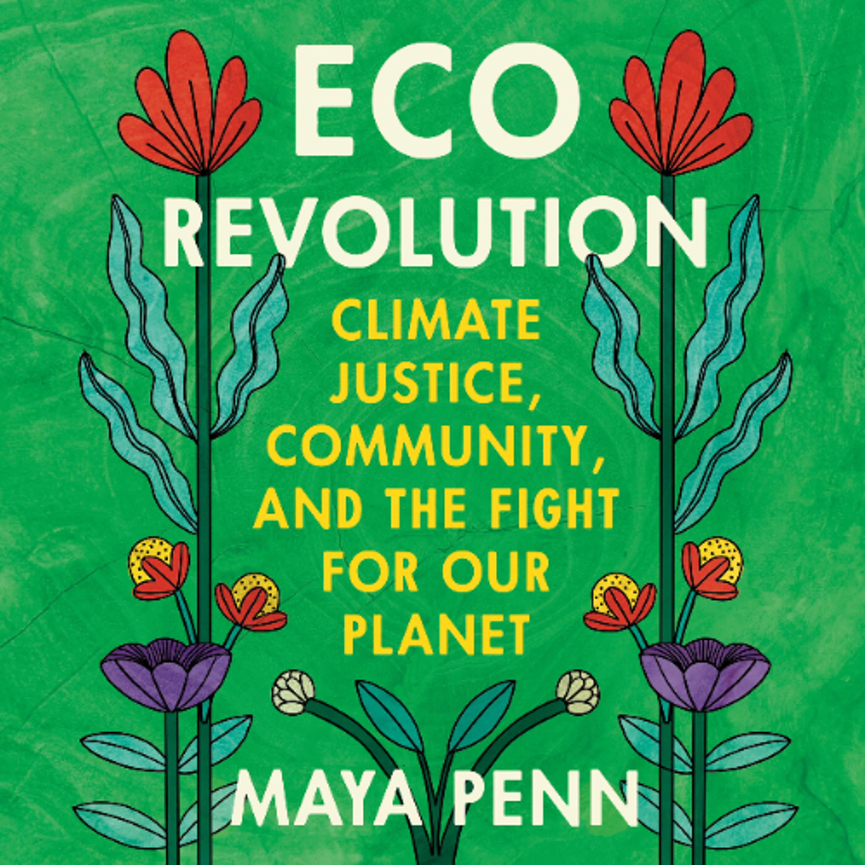 Eco Revolution by Maya Penn Read by Maya Penn episode artwork