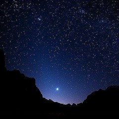 Indigo Nights