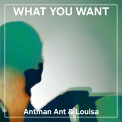 What you want Extended Mix