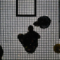 Anything Might Happen