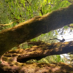 2500 piece - 16 11 21, 5.03 PM