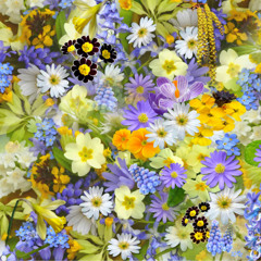 Infectious - Marching Band Show