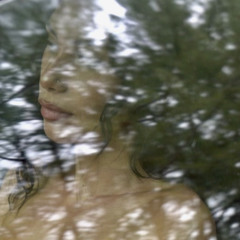 Slow Motion- Denali23