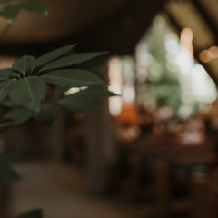 6.15.25 - Message: The Story of Us: Reading Genesis in Context