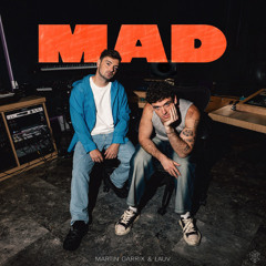 Martin Garrix & Lauv – MAD (EDM REMIX)