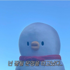 당연한 것들 백상