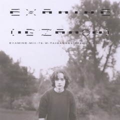examine-mix-76-w-taigangel-2024-07-03